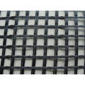 Geogrid de venta caliente (W-TGGS)